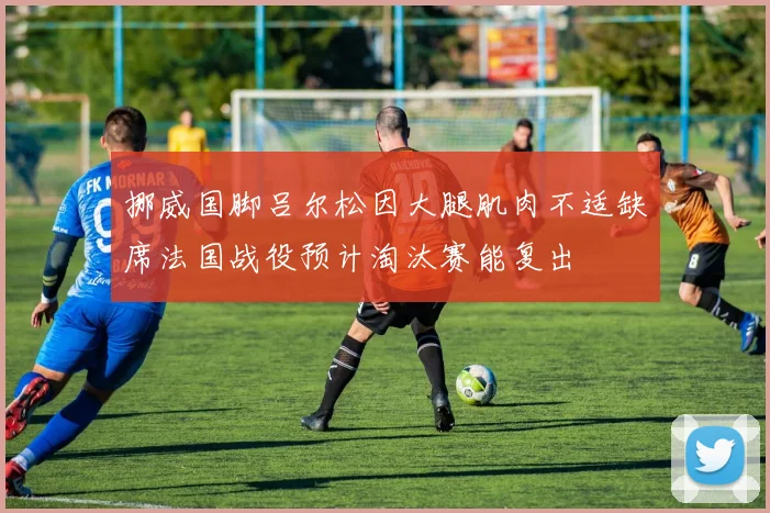 挪威国脚吕尔松因大腿肌肉不适缺席法国战役预计淘汰赛能复出