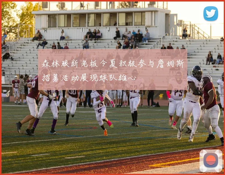 森林狼新老板今夏积极参与詹姆斯招募活动展现球队雄心