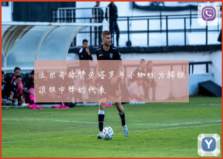 法尔考称赞劳塔罗与小蜘蛛为稀缺顶级中锋的代表